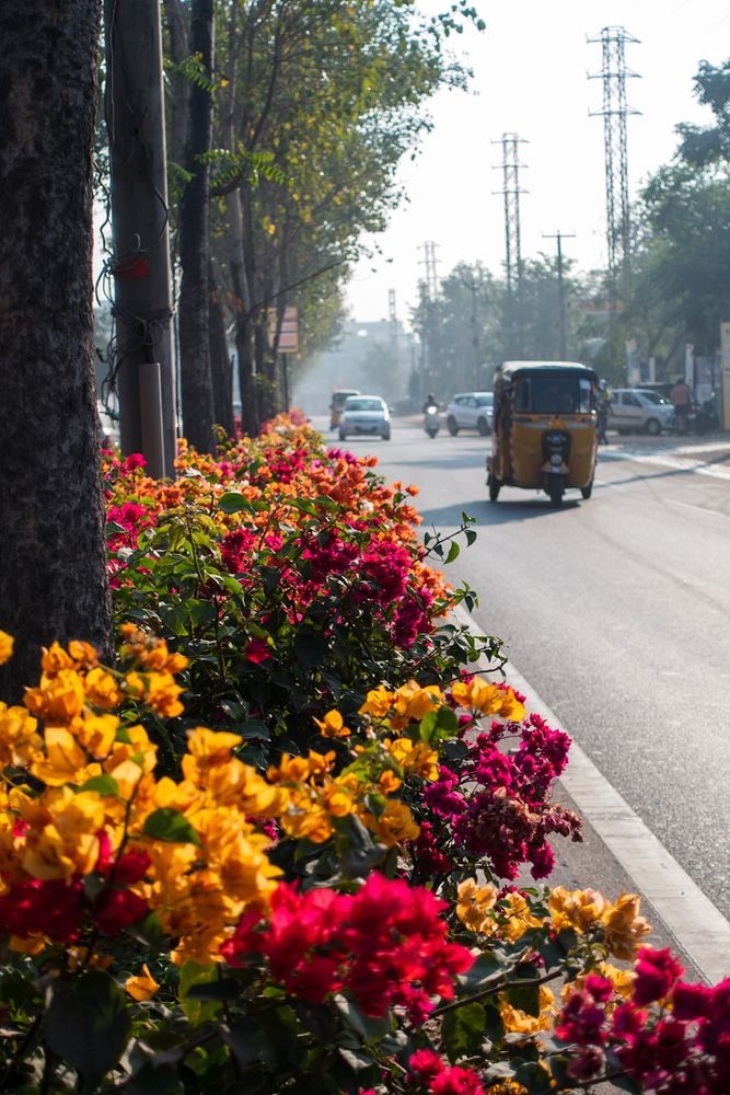 Photograph by Abhishek Pradhan