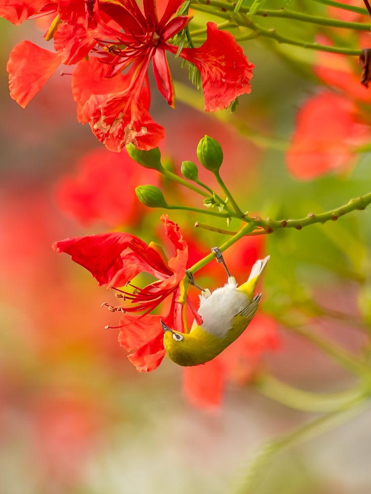 Photograph by Abhishek Pradhan