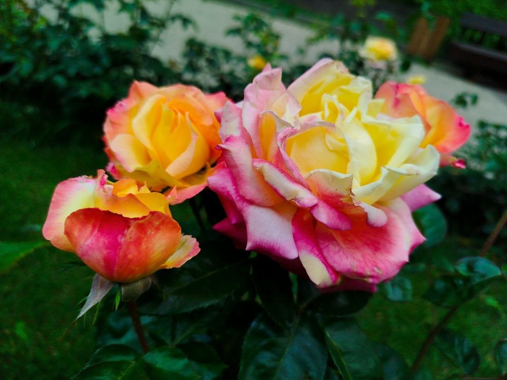 Photograph by Юлия Волгина