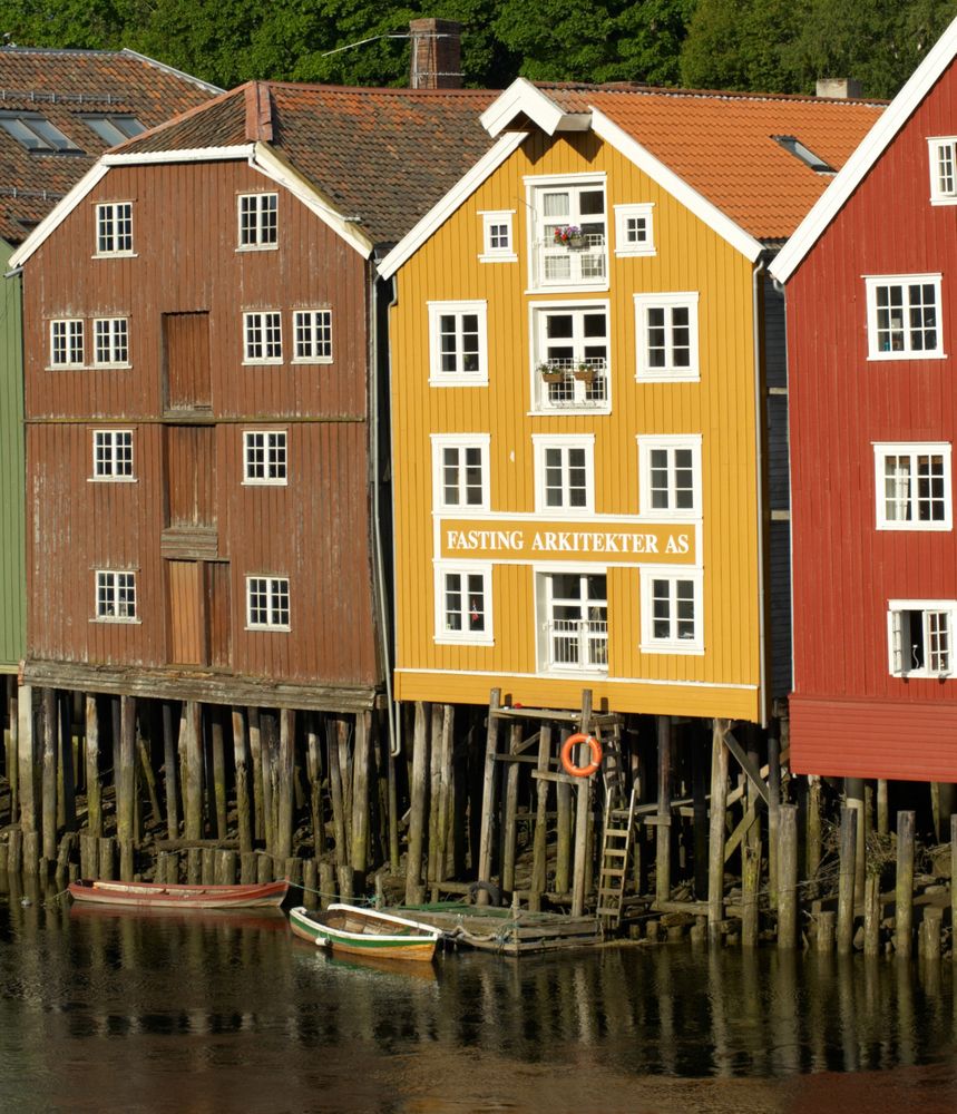 Photograph by Харламова Валентина