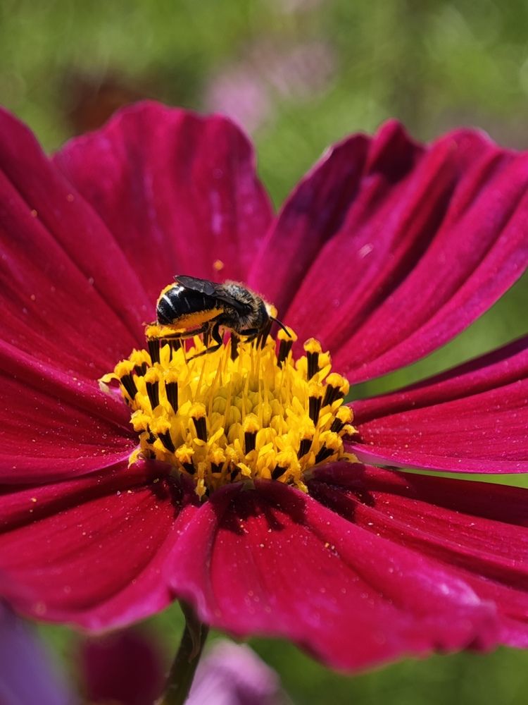 Photograph by Надежда Кангина