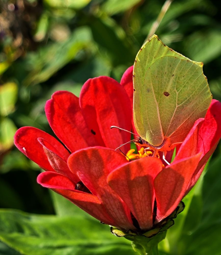 Photograph by Надежда Кангина