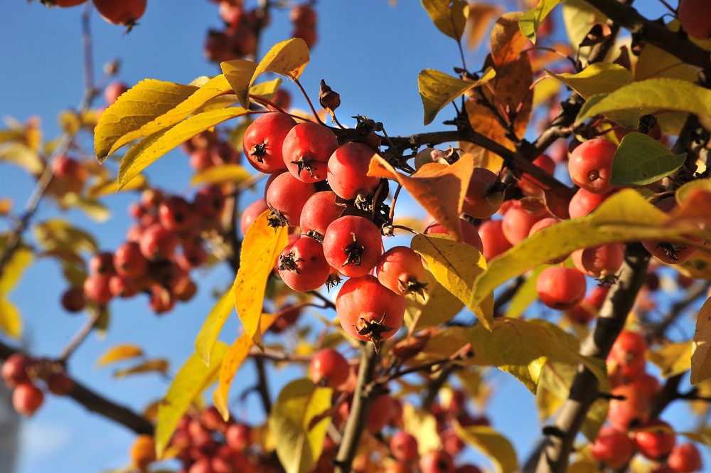 Photograph by Cергей Абакумов