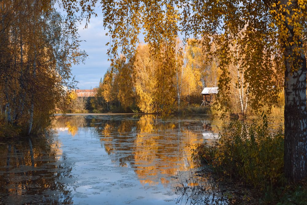 Фотография автора Екатерина Валиуллина