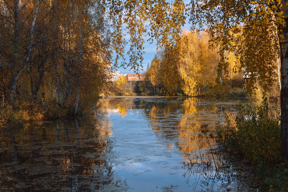 Фотография автора Екатерина Валиуллина