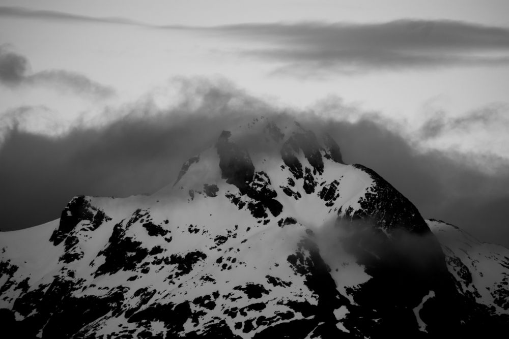 Photo #13428314