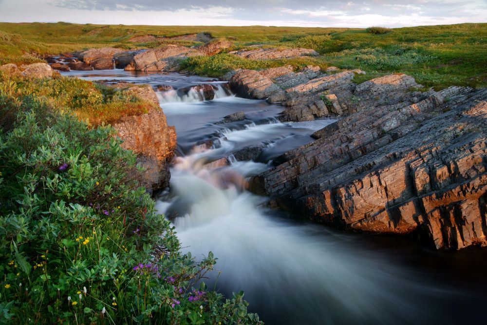 Photograph by Ольга Аристова