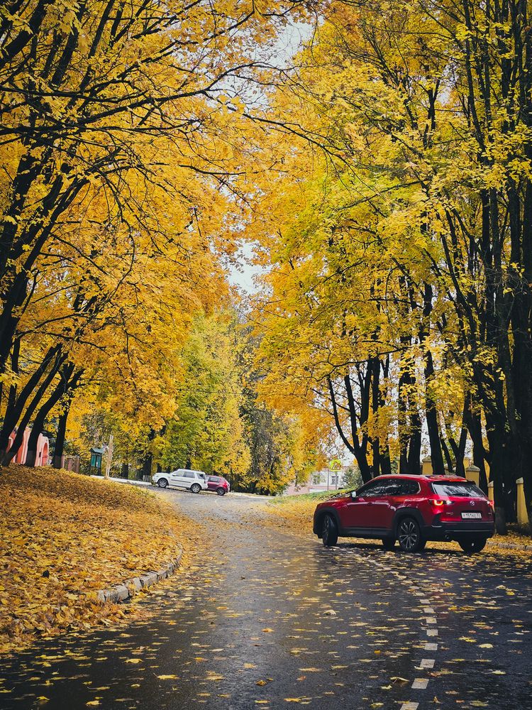 Photograph by Ирина Хлебникова