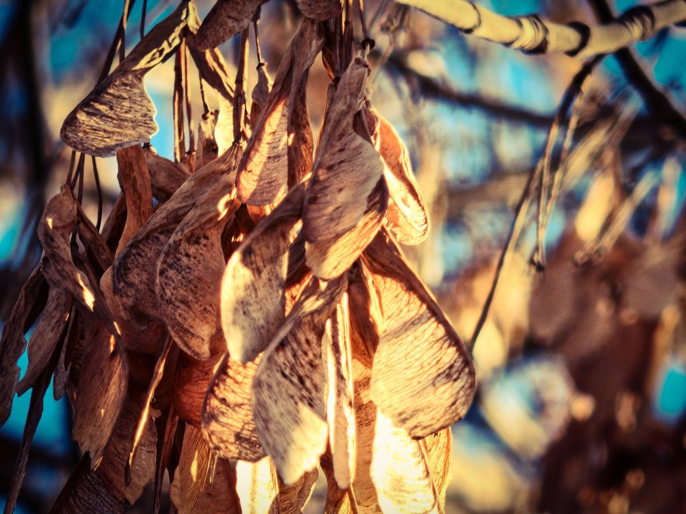 Photograph by Павел Синицын