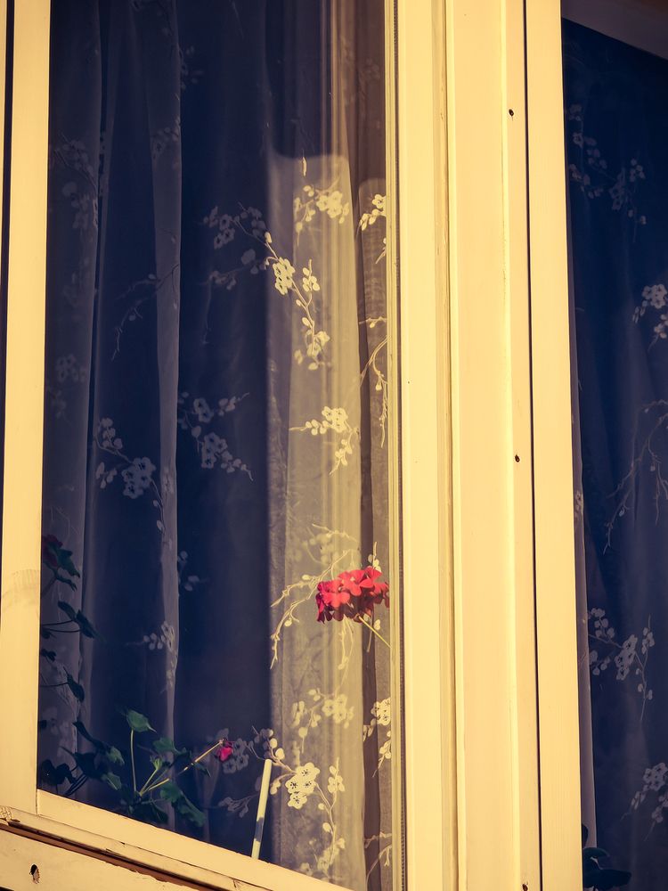 Photograph by Павел Синицын