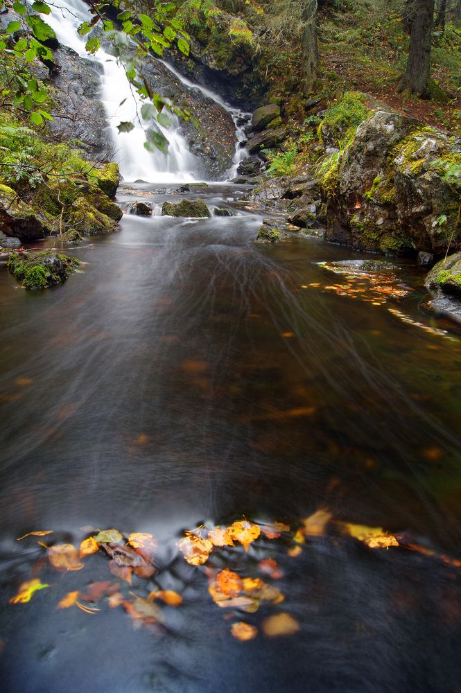 Photograph by Ольга Аристова