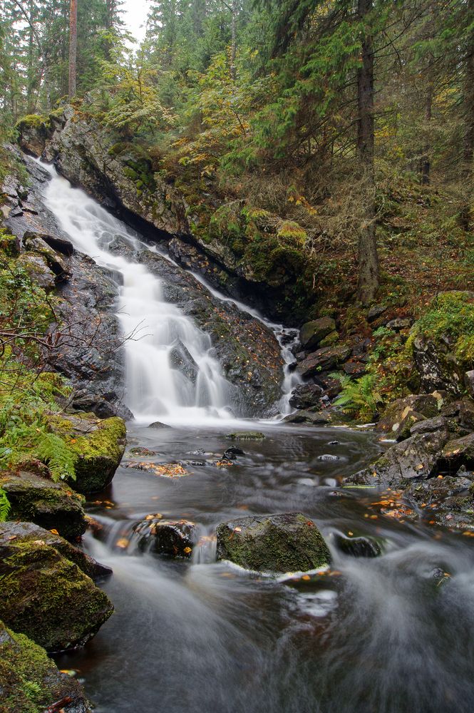 Photograph by Ольга Аристова