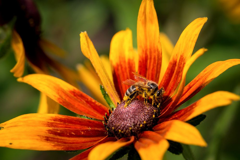 Фотография автора Юрий Яковлевич