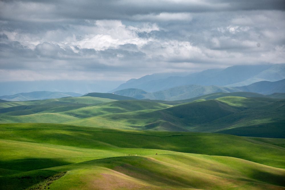 Photograph by Василий Шумкин