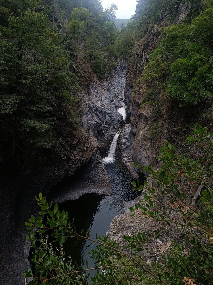 Photograph by Mauricio Canipane