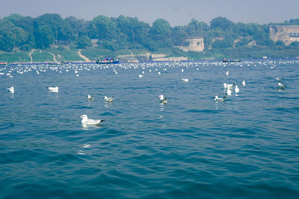 Photograph by Sanchit Rastogi