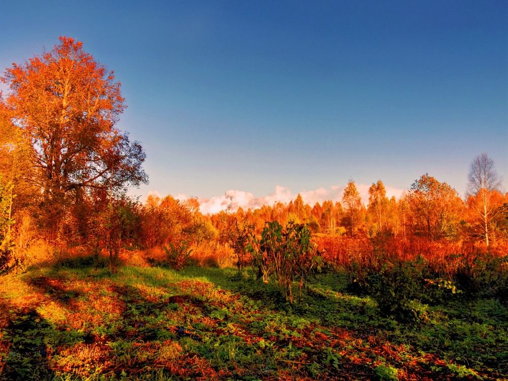 Photograph by Константин Бородулин