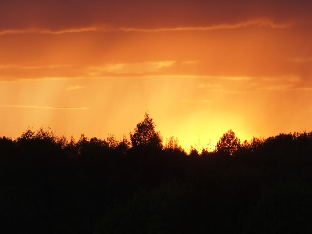 Photograph by Константин Бородулин