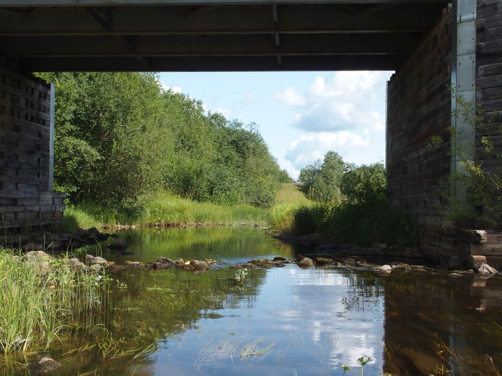 Photograph by Константин Бородулин