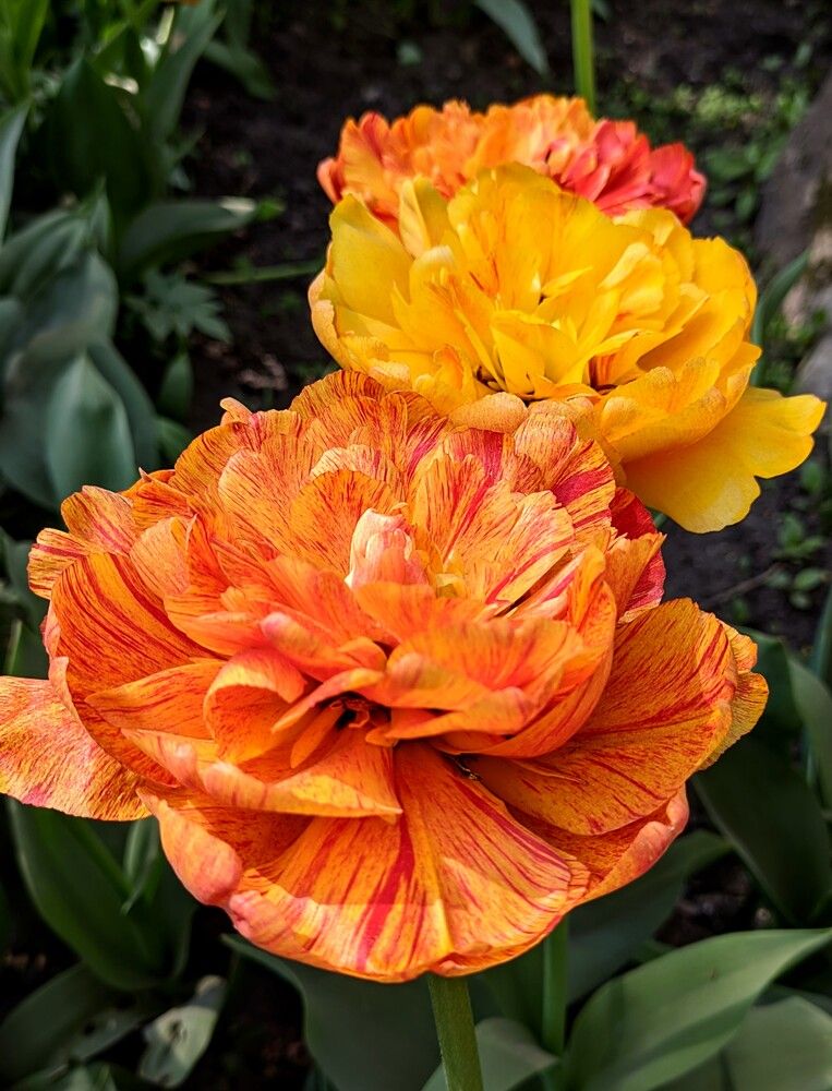 Photograph by Наталия