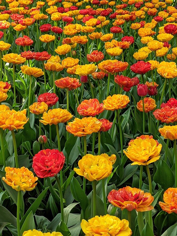 Photograph by Наталия