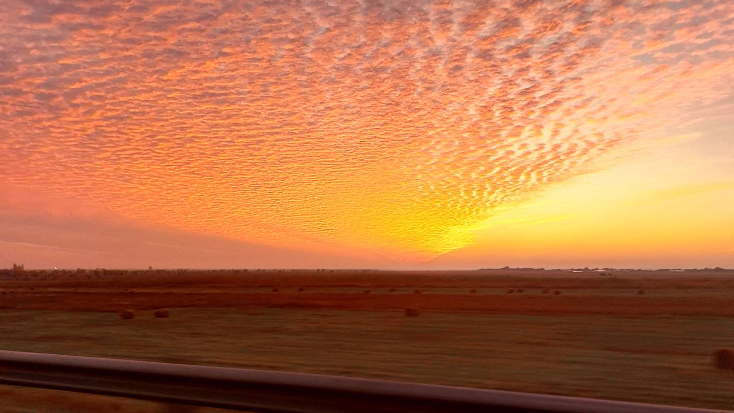 Фотография #13428543