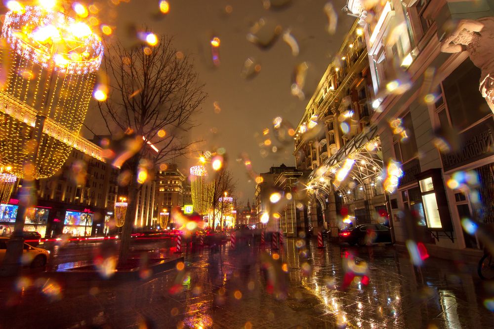 Photo #13428544