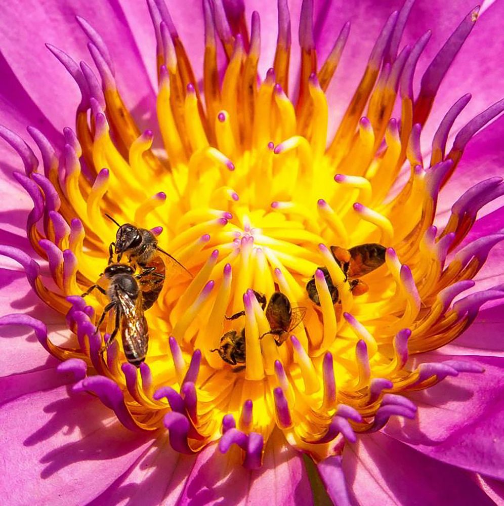 Photograph by Андрей Калинин