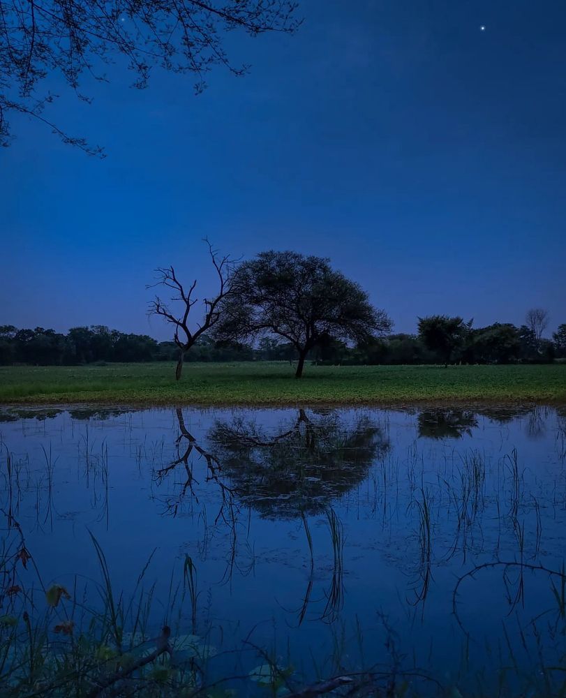 Photograph by Haris Qureshi