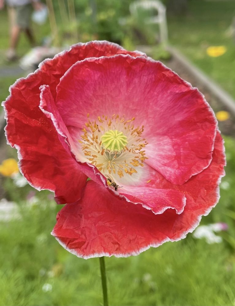 Photograph by Olga Andriuc