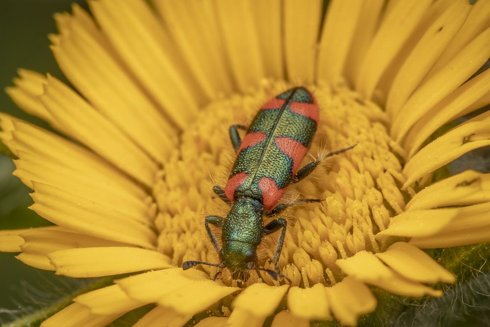 Фотография автора Nikolay Tatarchuk