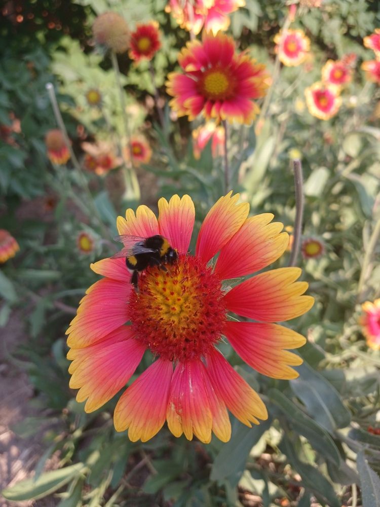 Photograph by Елена Кузнецова