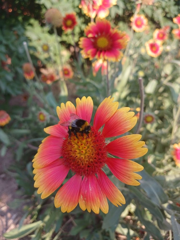 Photograph by Елена Кузнецова