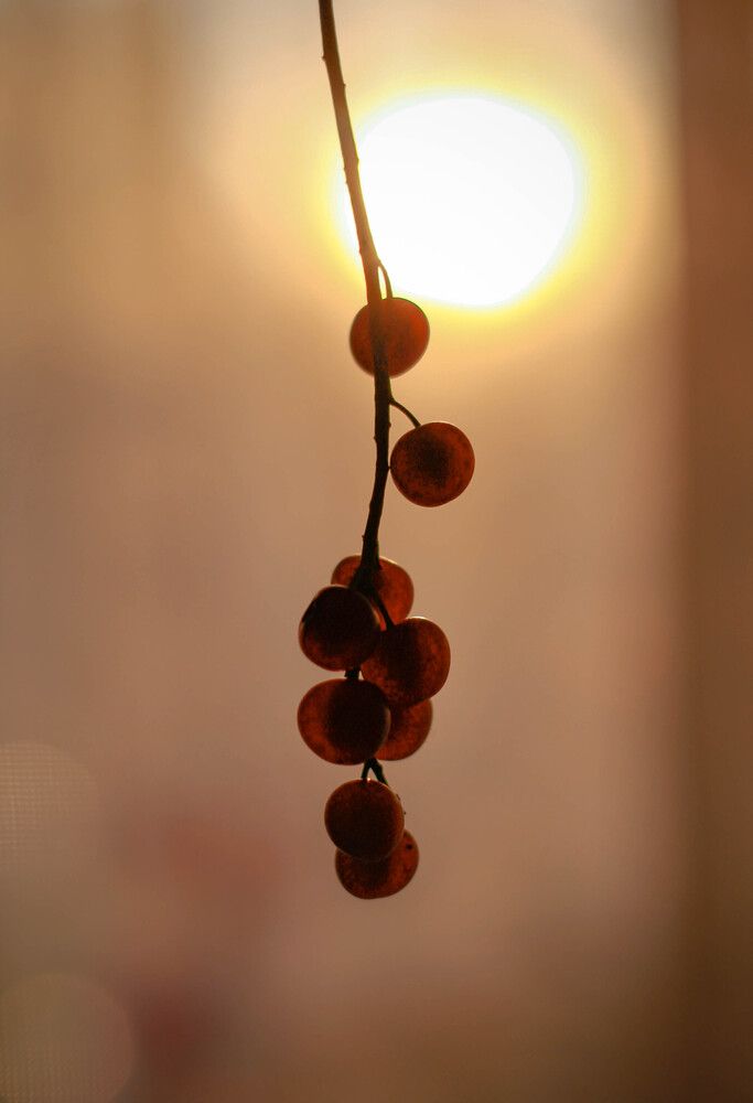 Photograph by Любовь Иванова