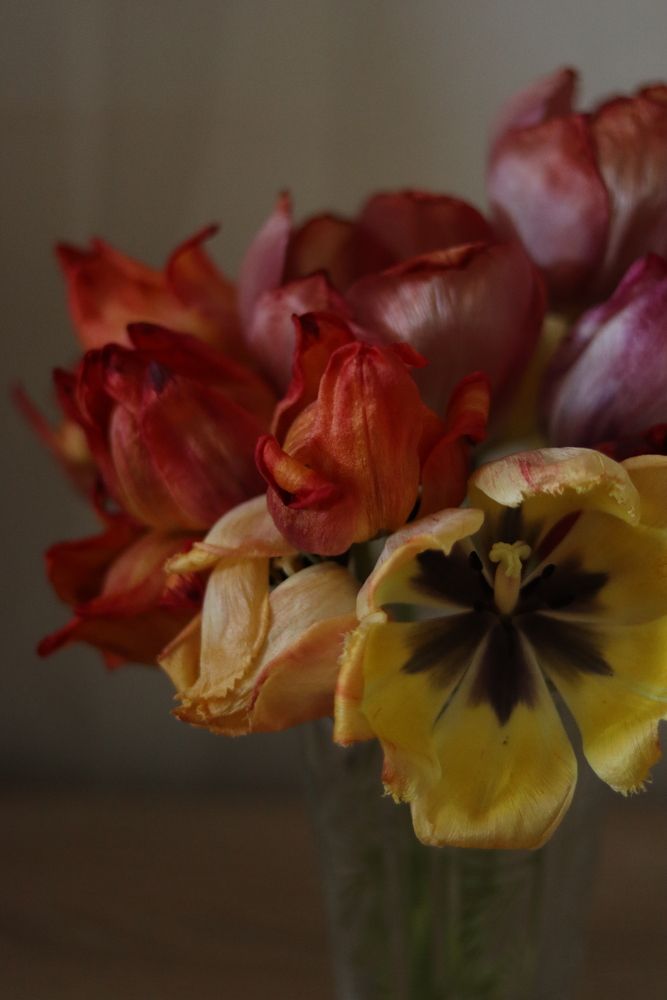 Photograph by Ксения Золотарь