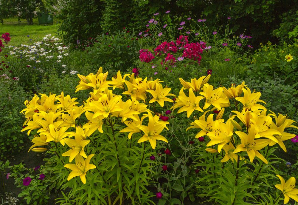 Фотография автора Цветков Сергей