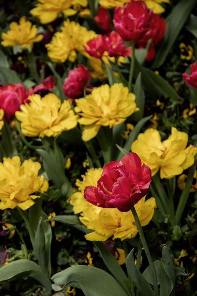 Photograph by Ксения Золотарь