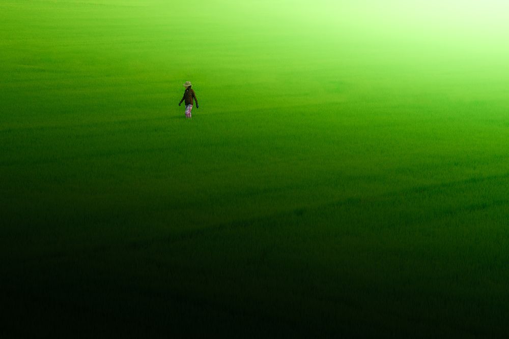 Photograph by Truong Giang Nguyễn
