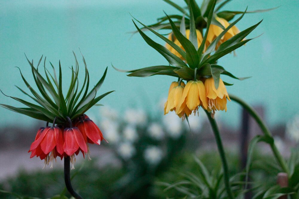 Photograph by Любовь Иванова