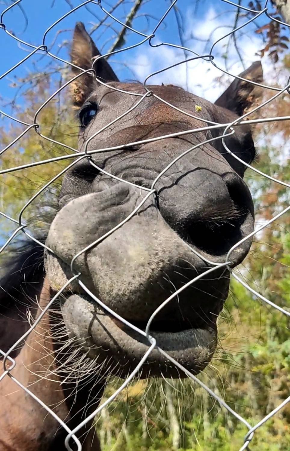 Жалко мне, что целовать нельзя.