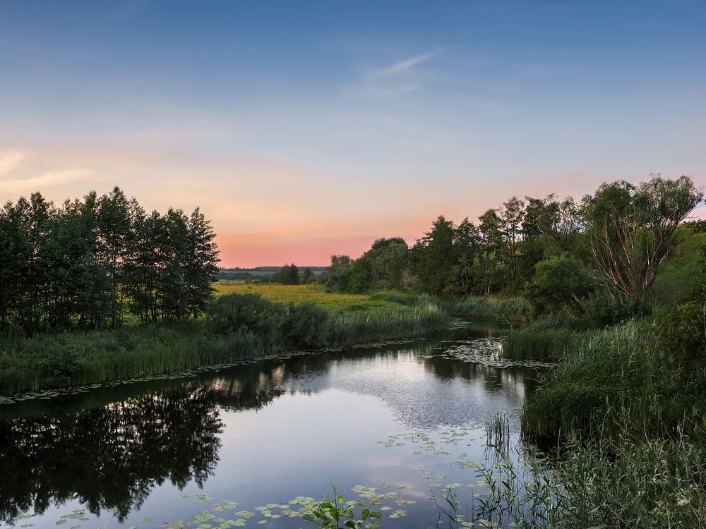 Фотография автора Сергей Степанов
