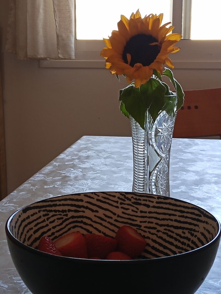 Photo #13429101