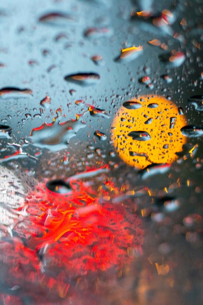 Photograph by Бугаев Олег