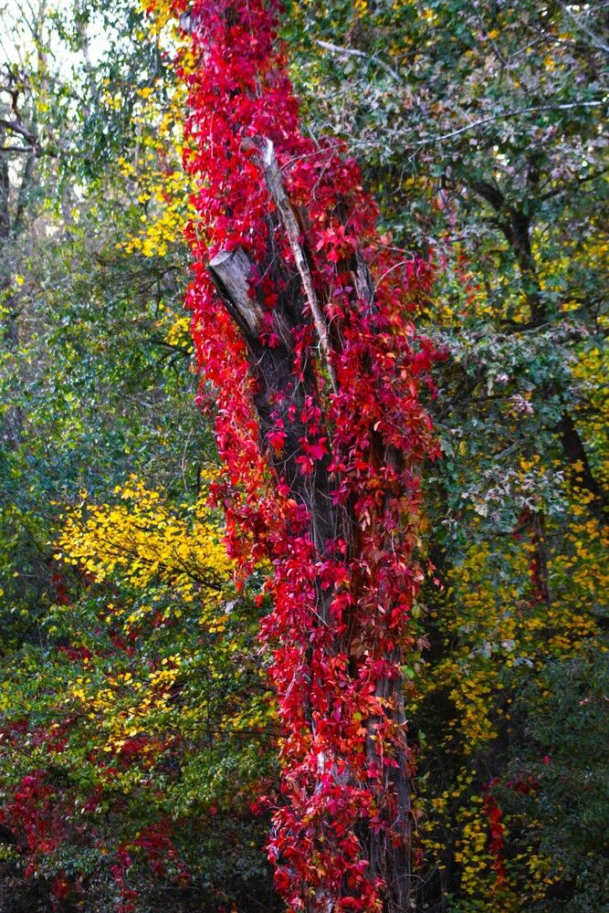 Photograph by Maciej Morgiel