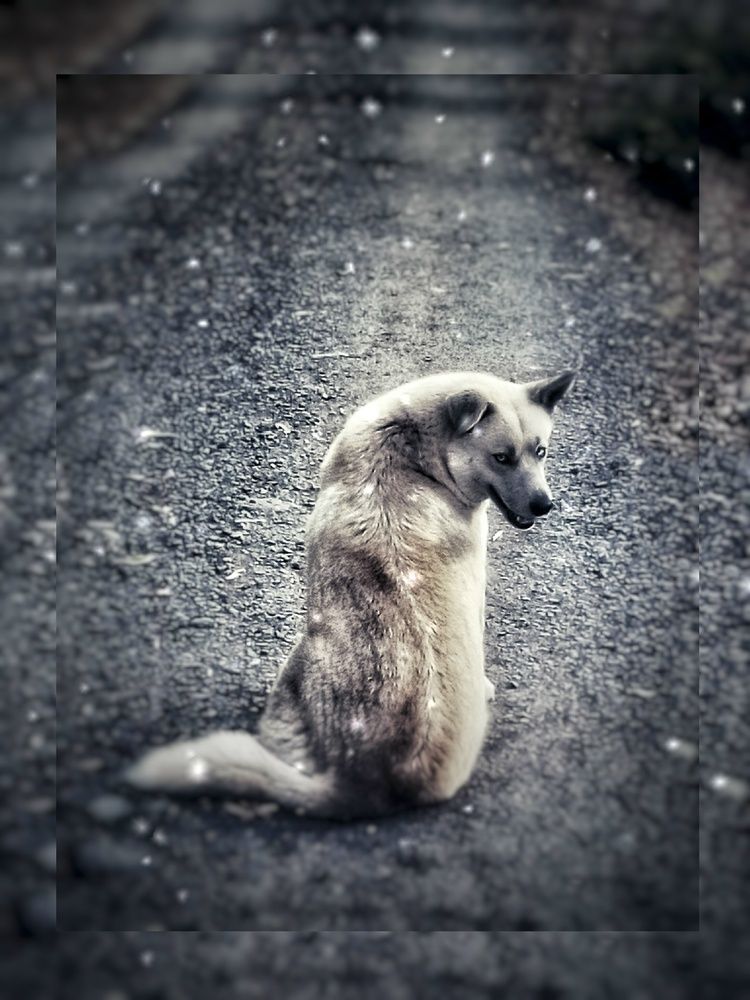 Photograph by Юлия Громушкина