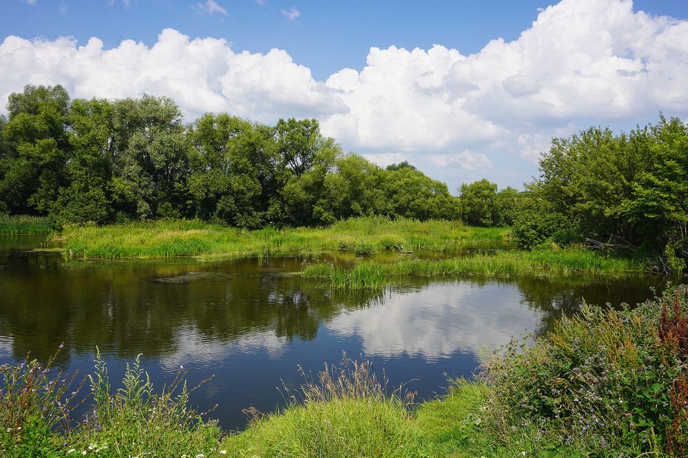 Photograph by Виктория Лаврова
