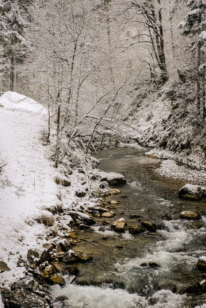 Фотография автора Dmitry