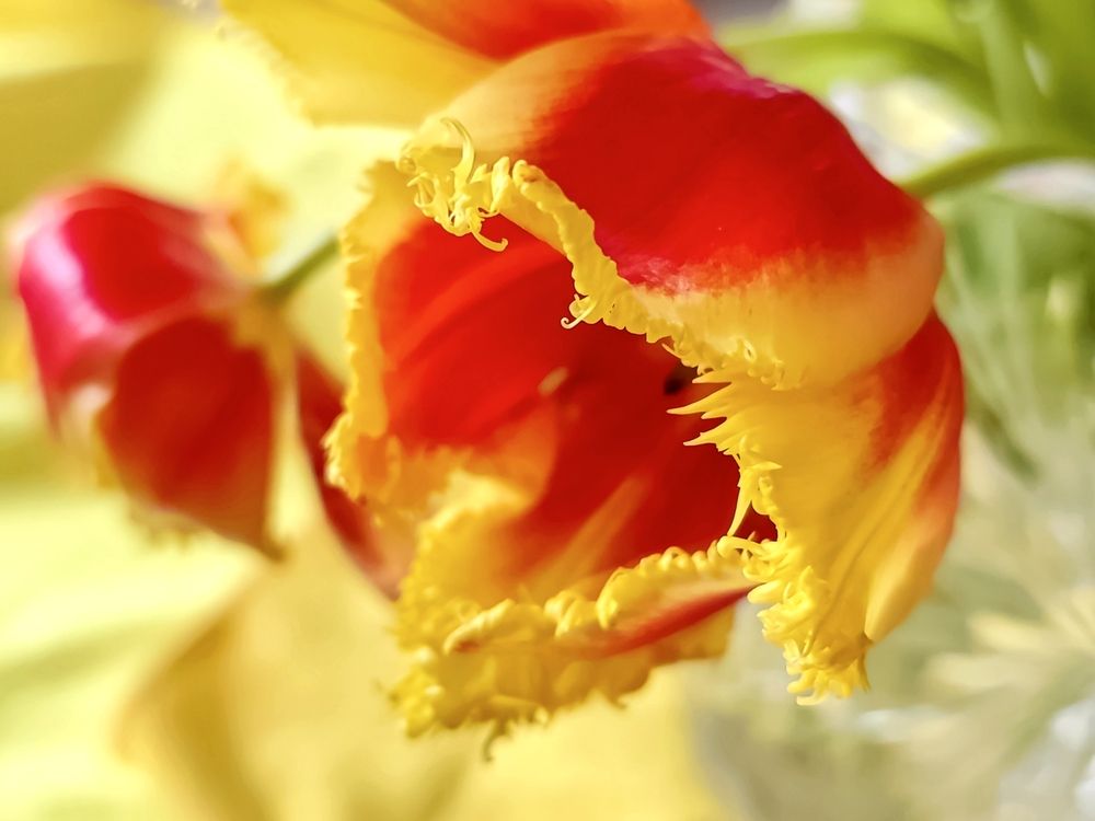 Фотография автора Алёна Пшеленская