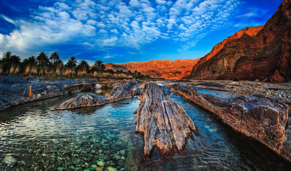 Photograph by MOHAMMED ALHAJRI