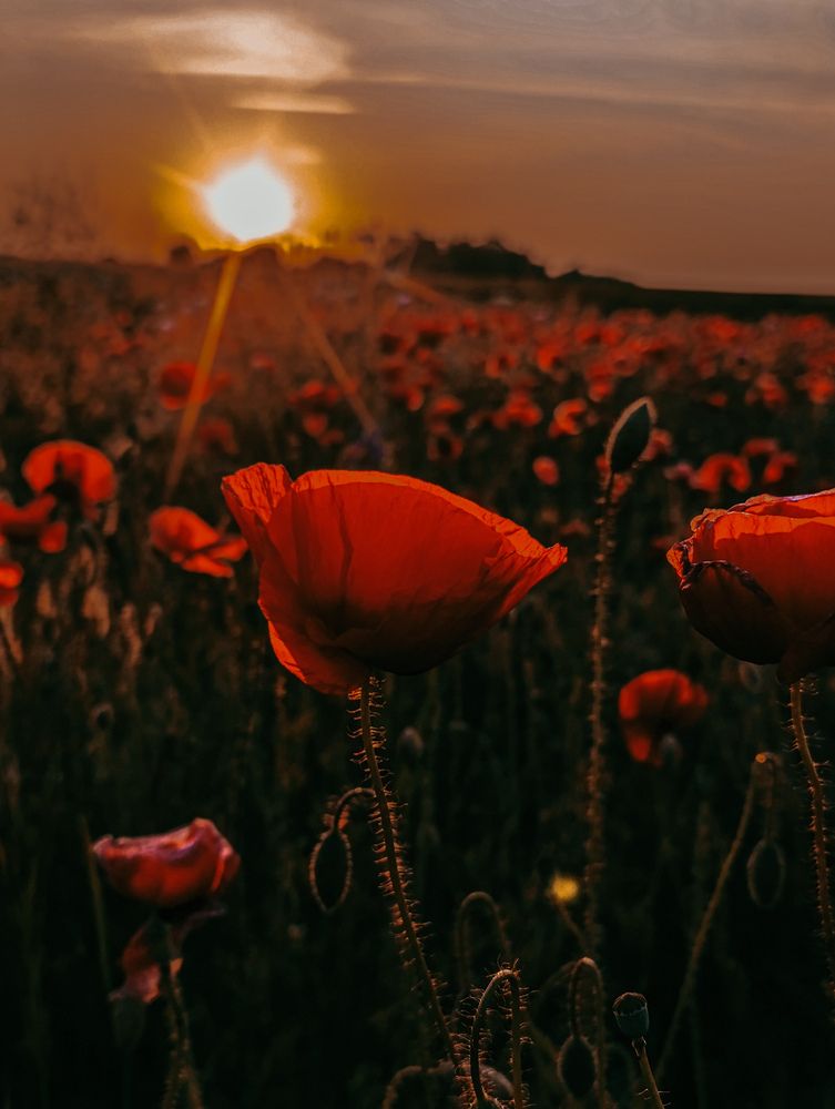 Photograph by Наталья Горбачук